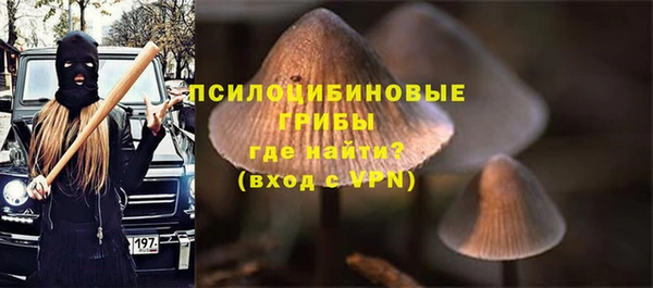 мдма Богородицк
