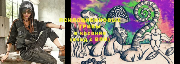 кокаин Богданович