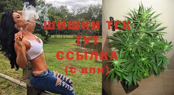 эйфоретик Богородск
