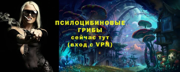 эйфоретик Богородск