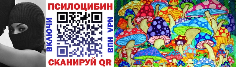 Купить где  Облучье  Псилоцибиновые грибы GOLDEN TEACHER 
